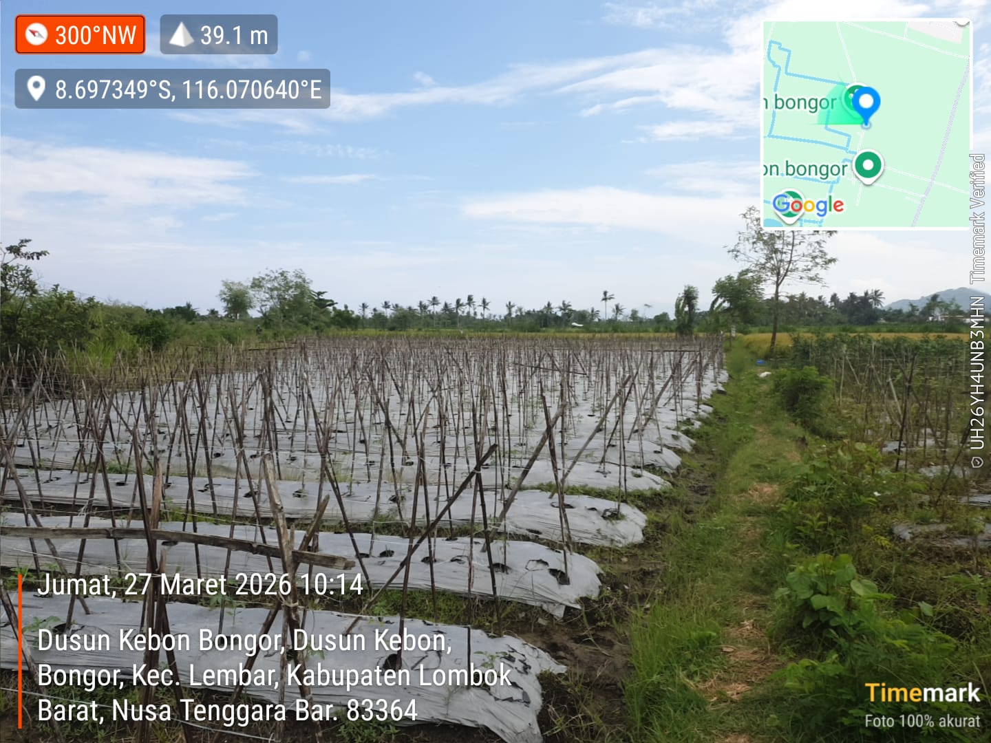 Aset